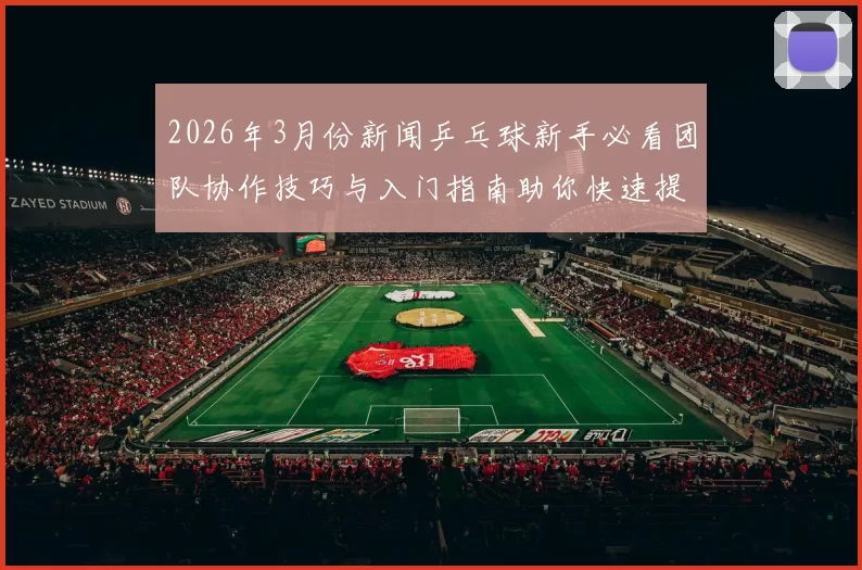 2026年3月份新闻乒乓球新手必看团队协作技巧与入门指南助你快速提升球技